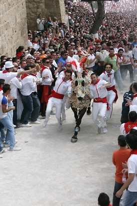 Un caballo pura sangre bate el record en la cuesta